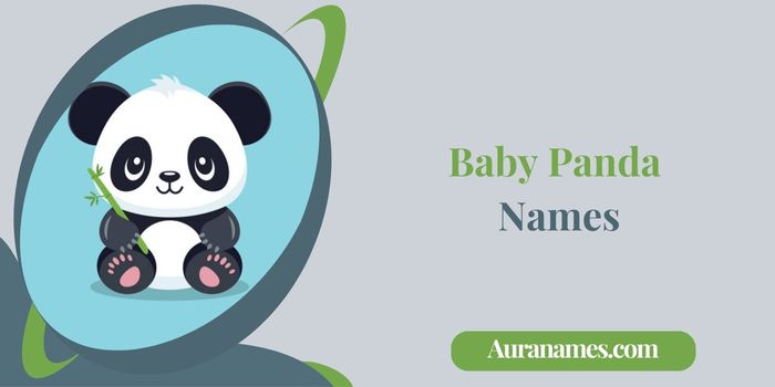 Baby Panda Names
