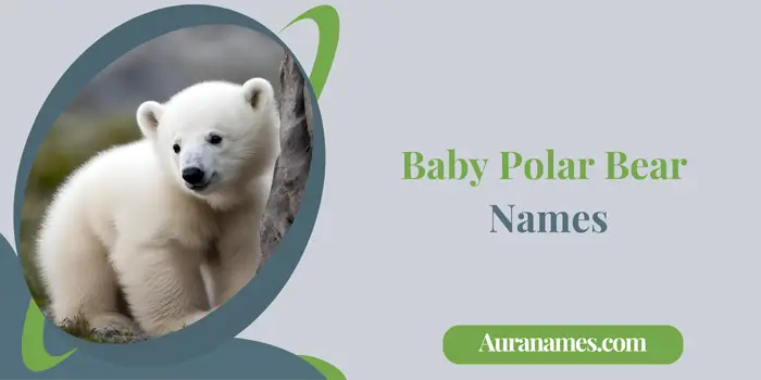 Baby Polar Bear Names
