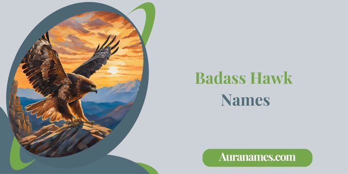 Badass Hawk Names