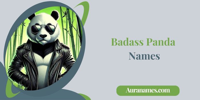 Badass Panda Names