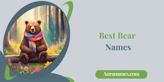 Best Bear Names