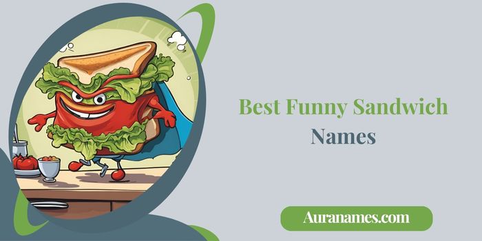 Best Funny Sandwich Names