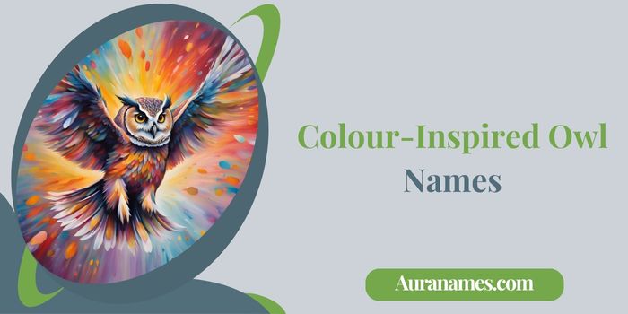 Colour-Inspired Owl Names