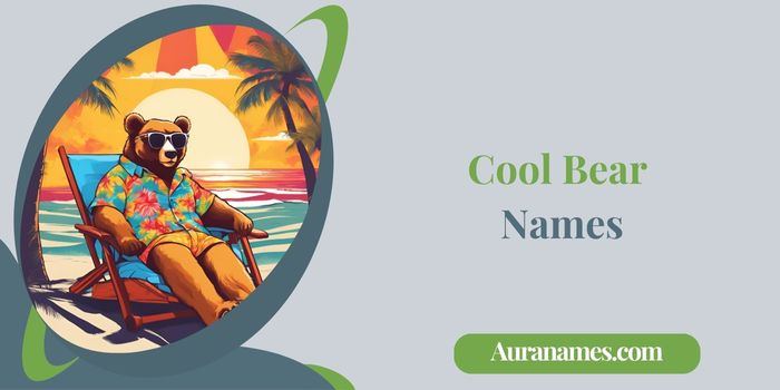 Cool Bear Names