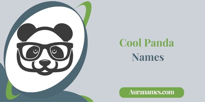 Cool Panda Names