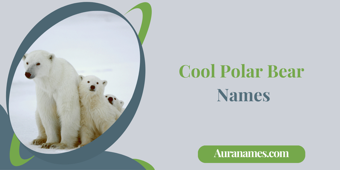 Cool Polar Bear Names