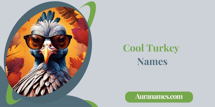 Cool Turkey Names