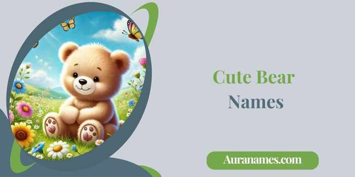 Cute Bear Names