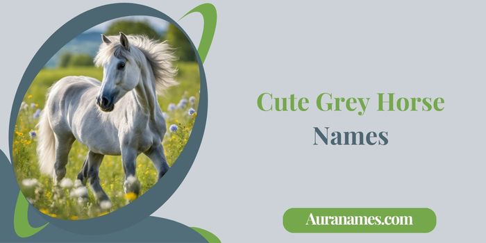 Cute Grey Horse Names