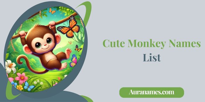 Cute Monkey Names List