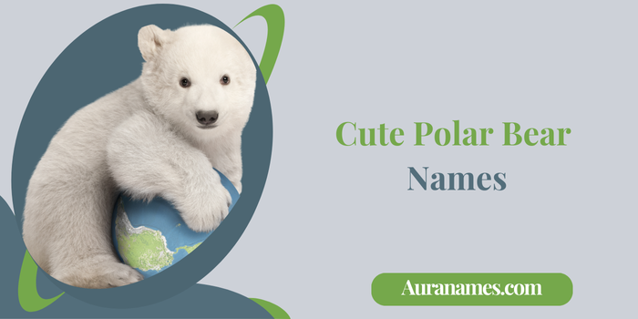 Cute Polar Bear Names