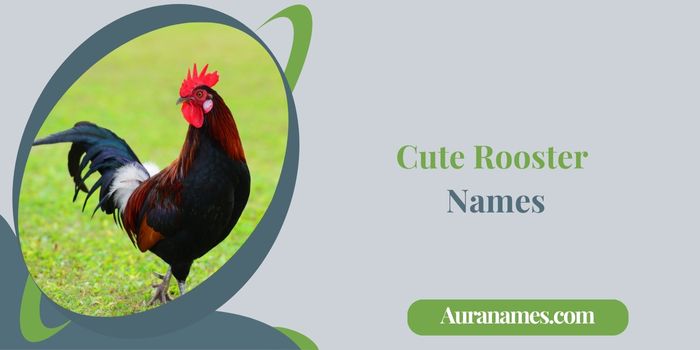 Cute Rooster Names