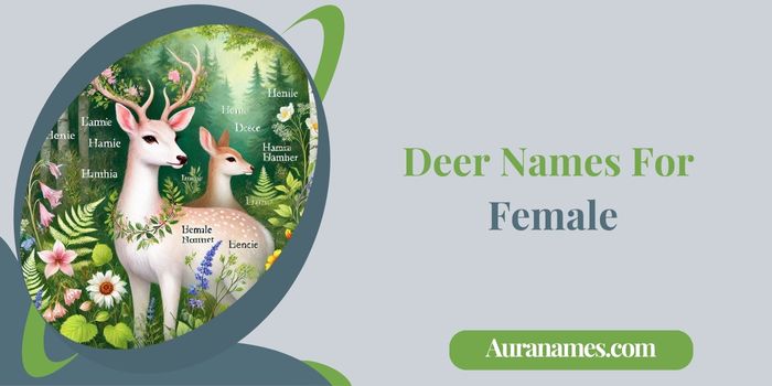 Deer Names For Female