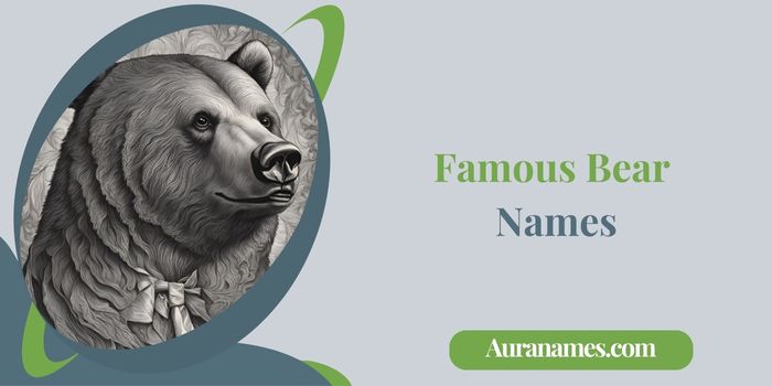 Famous Bear Names