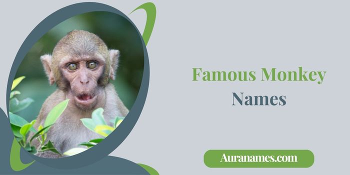 Famous Monkey Names
