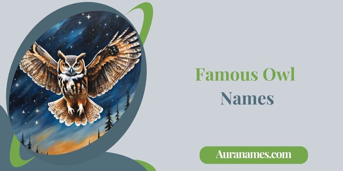 Famous Owl Names