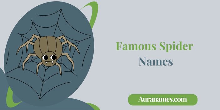 Famous Spider Names