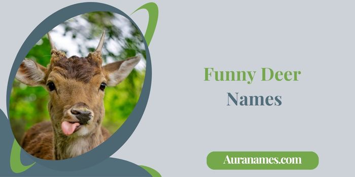 Funny Deer Names