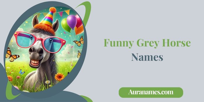 Funny Grey Horse Names