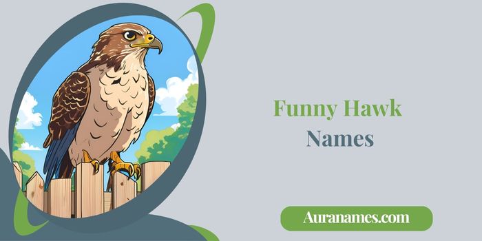Funny Hawk Names
