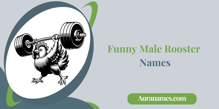 Funny Male Rooster Names