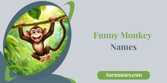 Funny Monkey Names