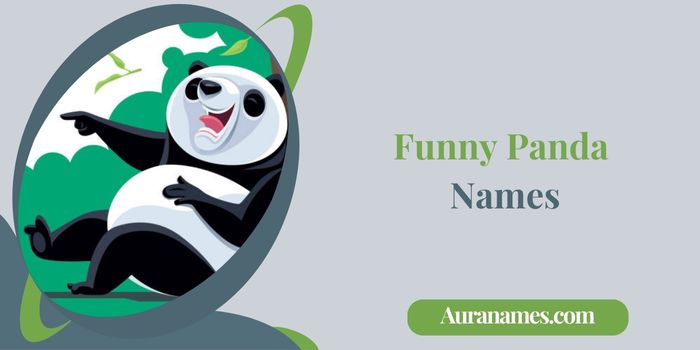 Funny Panda Names