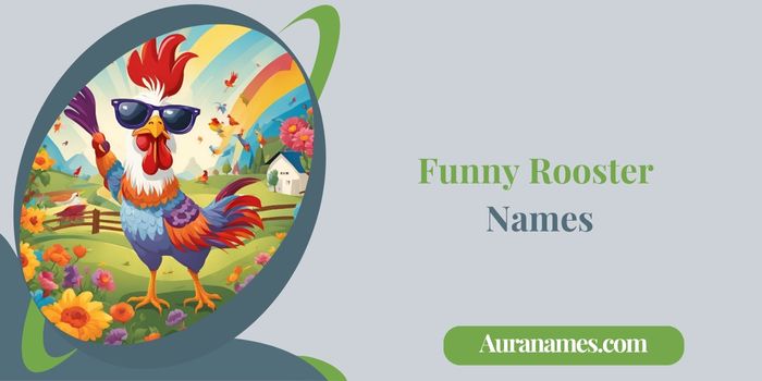 Funny Rooster Names