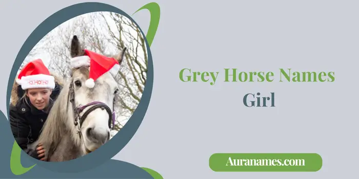 Grey Horse Names Girl