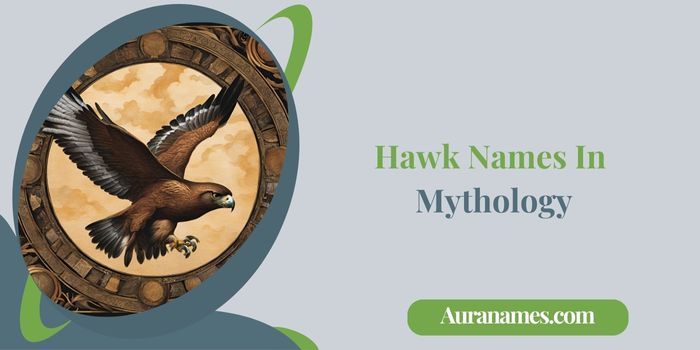 Hawk Names In Mythology