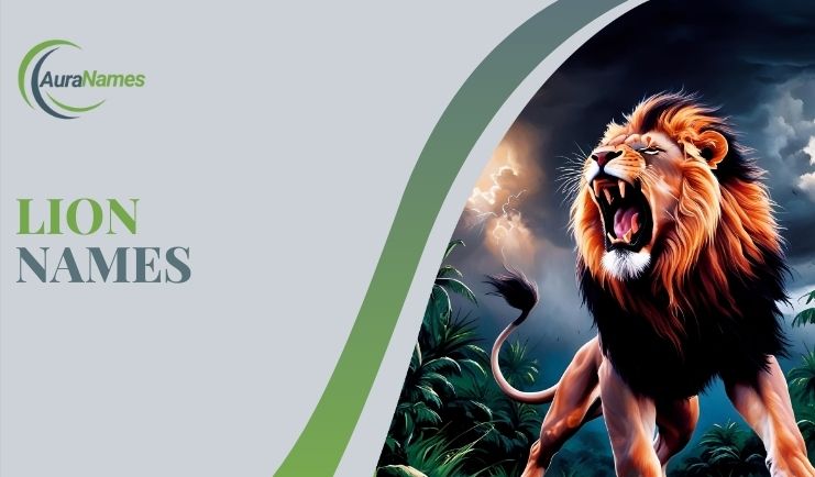 Lion Names