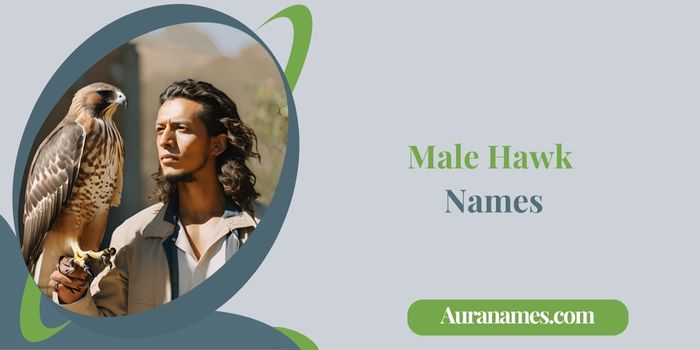 Male Hawk Names