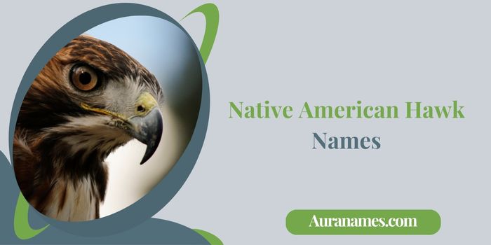 Native American Hawk Names