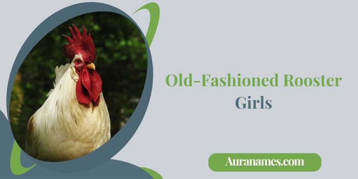 Old-Fashioned Rooster Names