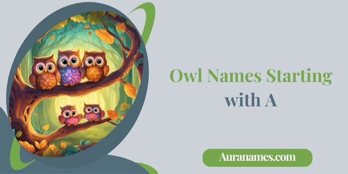 Owl Names Starting with A