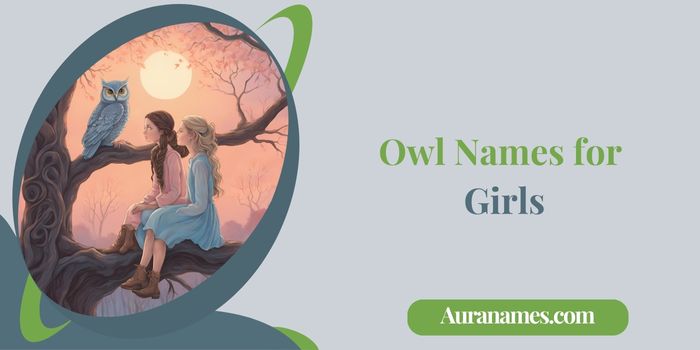 Owl Names for Girls