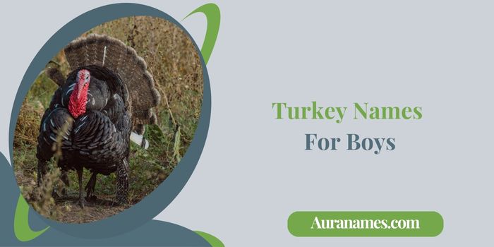 Turkey Names For Boys