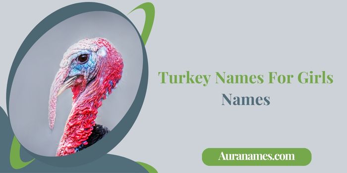 Turkey Names For Girls