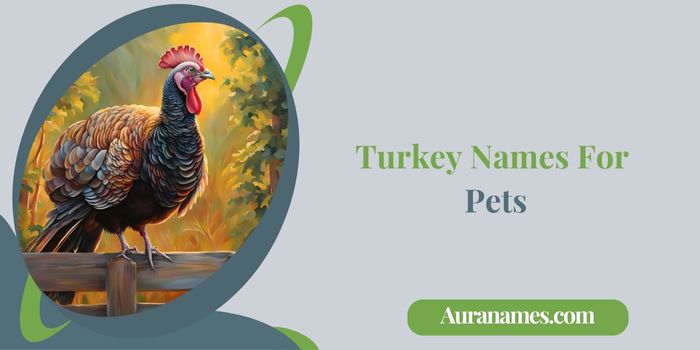 Turkey Names For Pets