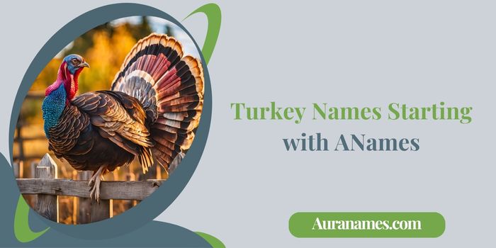 Turkey Names Starting with A