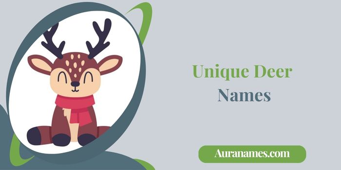Unique Deer Names