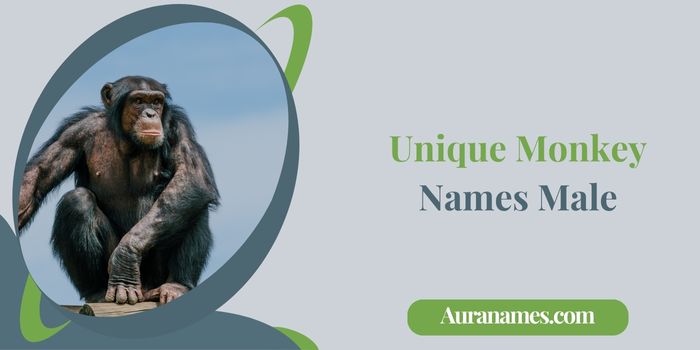 Unique Monkey Names Male