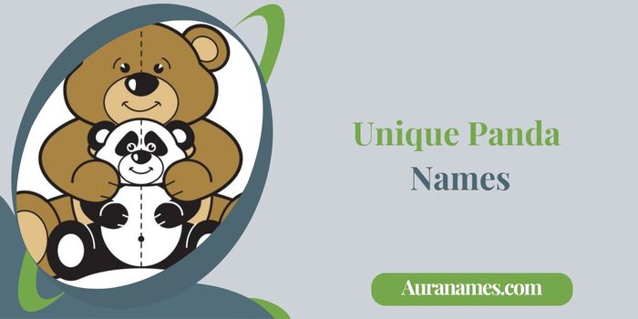 Unique Panda Names