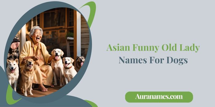 Asian Funny Old Lady Names For Dogs