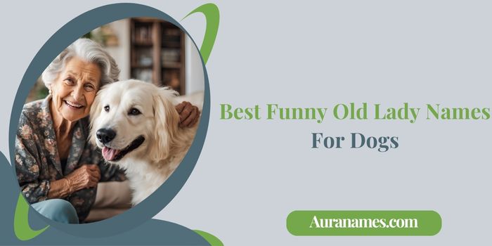 Best Funny Old Lady Names For Dogs