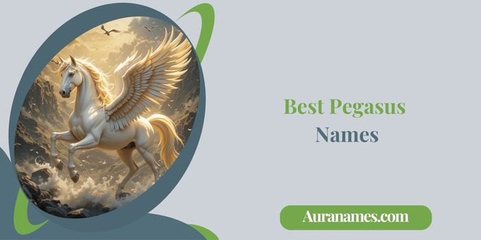 Best Pegasus Names