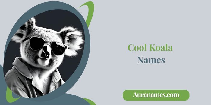 Cool Koala Names