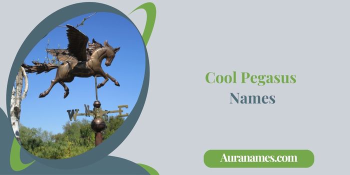 Cool Pegasus Names