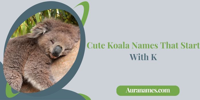 Cute Koala Names That Start With K