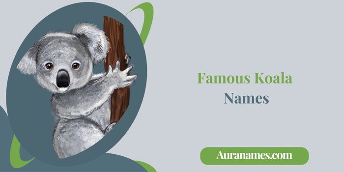 Famous Koala Names